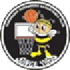 https://img.szweiyepai.com/img/basketball/team/e416830f4083698237c559f8988ddb25.png