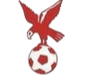 https://img.szweiyepai.com/img/football/team/4802d26df935b78bb2fcdbbff36e8864.png