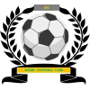 https://img.szweiyepai.com/img/football/team/6dc6d59af2f0962597b412473a6708ee.png